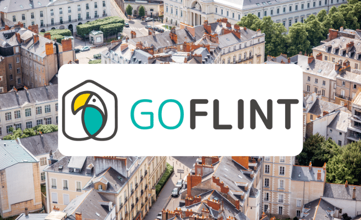 Goflint Interview Hero Image 7