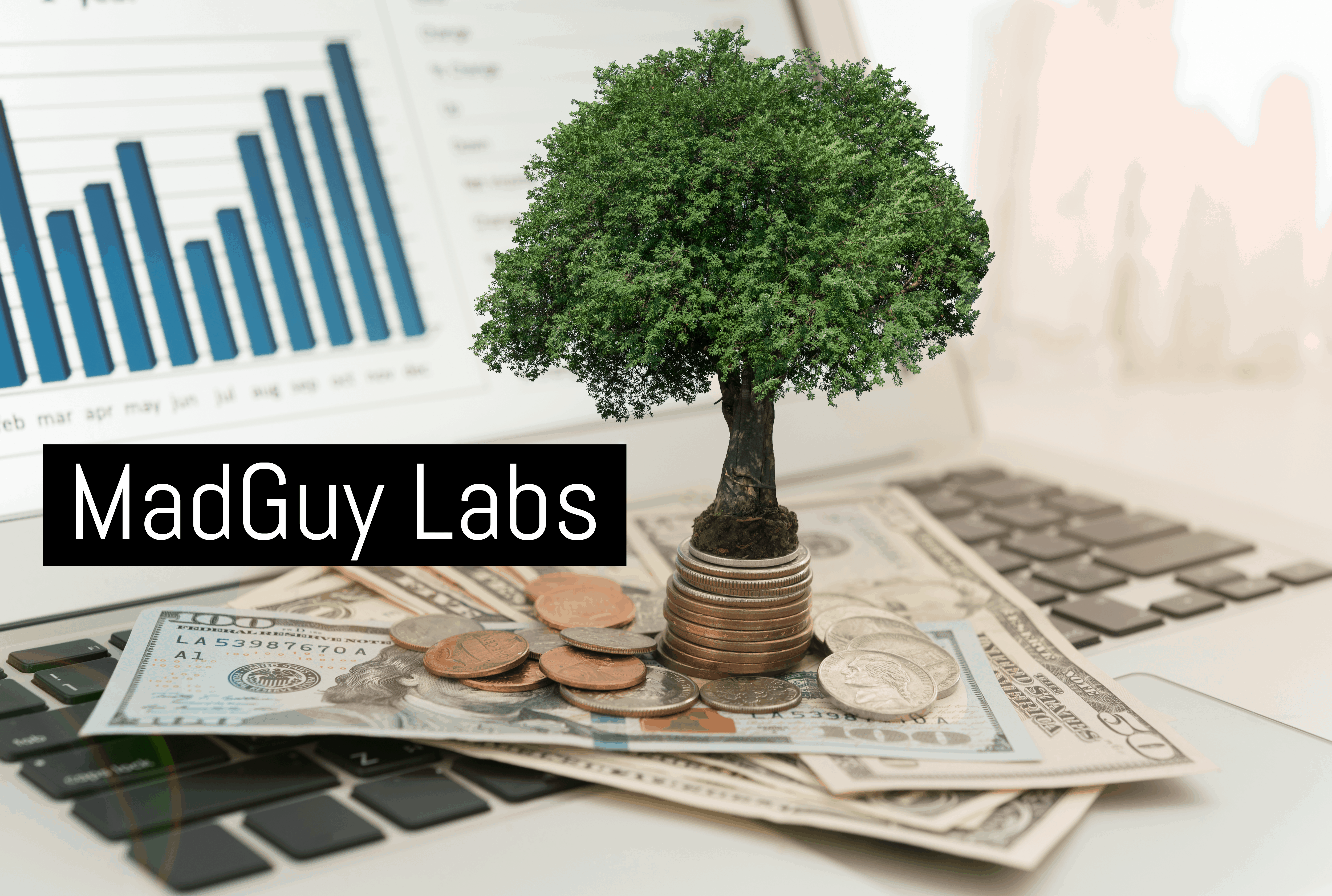Madguy Labs 8